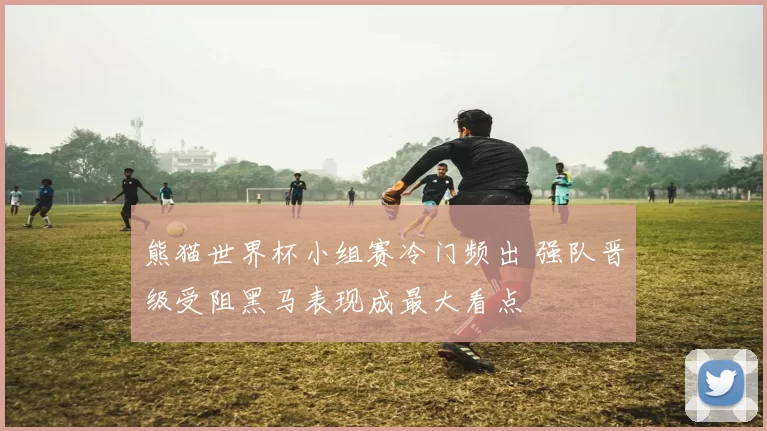 熊猫世界杯小组赛冷门频出 强队晋级受阻黑马表现成最大看点